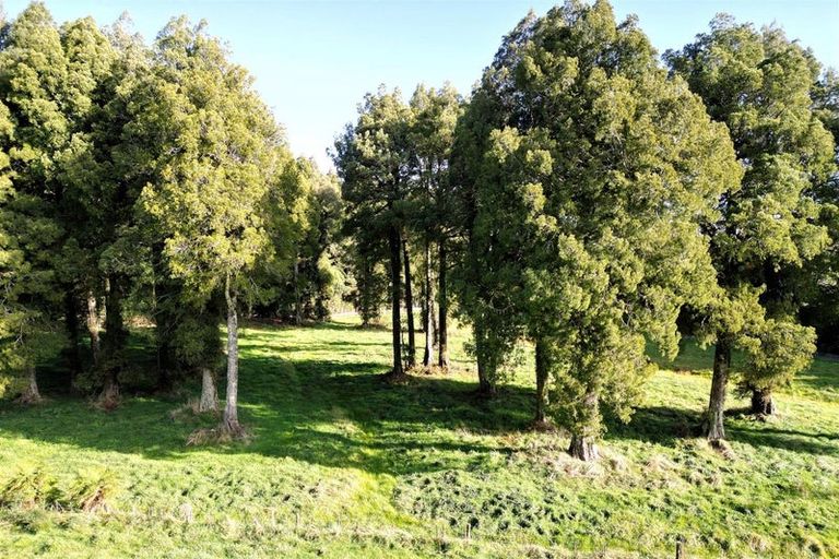 Photo of property in 171 Coulson Road, Paroa, Greymouth, 7805