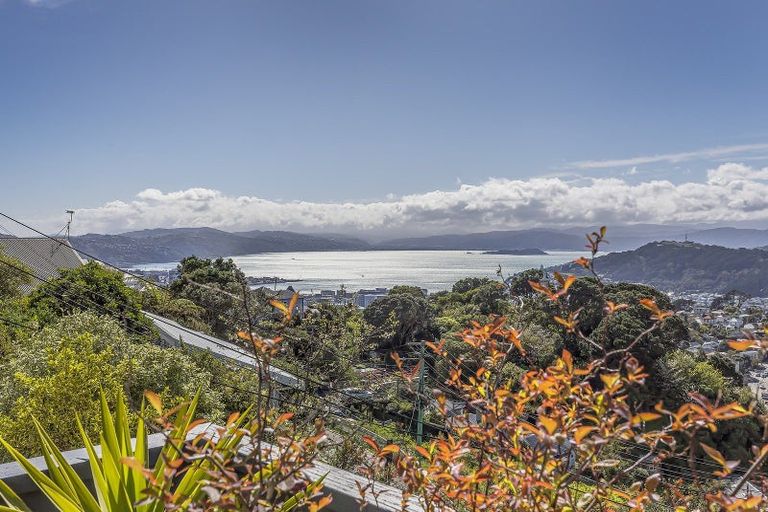 Photo of property in 88 Mitchell Street, Brooklyn, Wellington, 6021