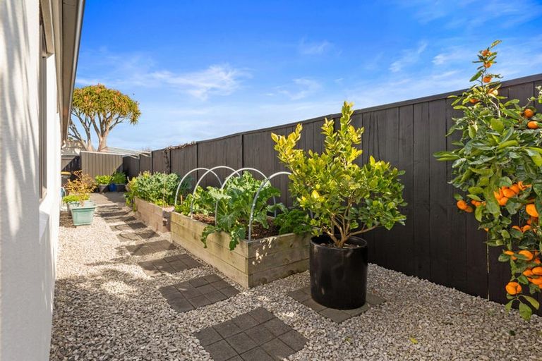 Photo of property in 134 Palm Beach Boulevard, Papamoa Beach, Papamoa, 3118