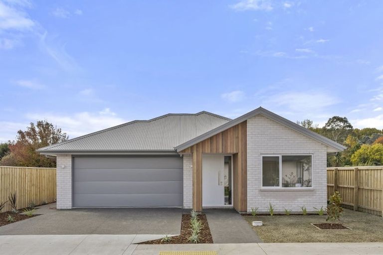 Photo of property in 49 Henshaw Street, Woodend, 7610