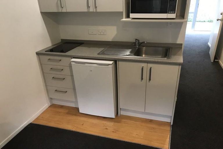 Photo of property in 16u2 Greensboro Street, Hamilton East, Hamilton, 3216