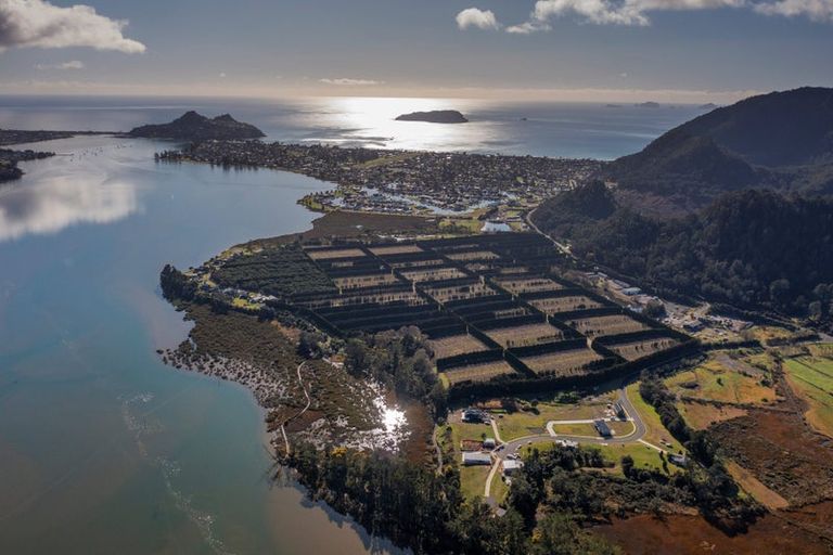 Photo of property in 33 North Ridge Drive, Pauanui, 3579