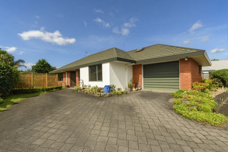 Photo of property in 171c Maungatapu Road, Maungatapu, Tauranga, 3112