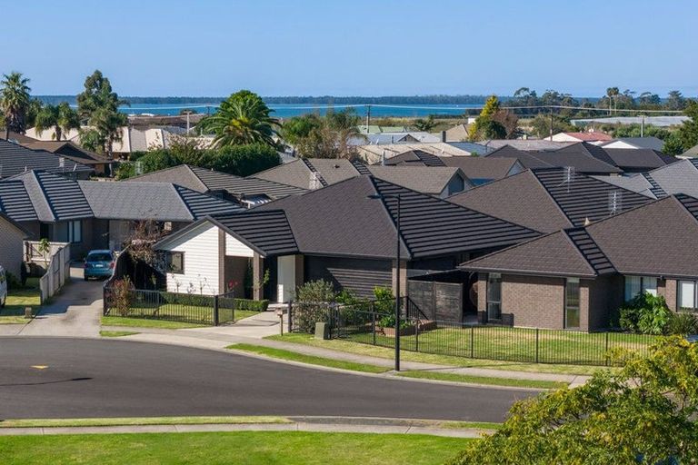 Photo of property in 16 Eastbank Drive, Katikati, 3129