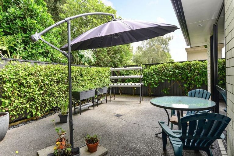 Photo of property in 5 Brooklyn Road, Claudelands, Hamilton, 3214