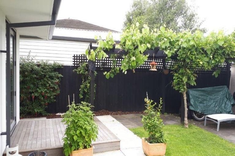 Photo of property in 8 Woodbank Street, Somerfield, Christchurch, 8024
