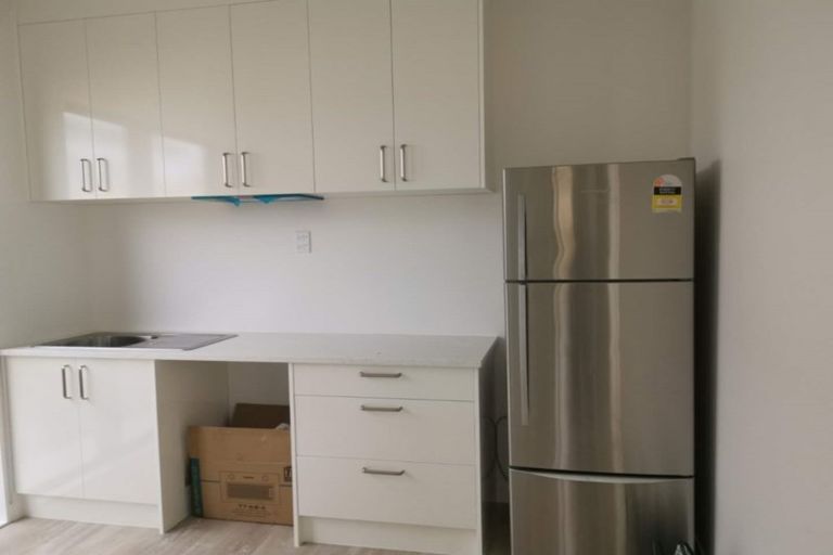 Photo of property in 55 Myland Drive, Hobsonville, Auckland, 0616