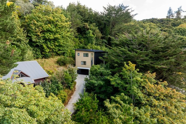 Photo of property in 48 Buccleugh Street, North East Valley, Dunedin, 9010