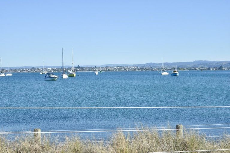 Photo of property in 6 Adams Avenue, Mount Maunganui, 3116