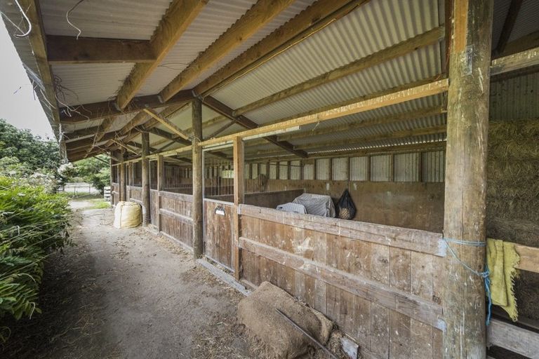 Photo of property in 237 Ngaio Road, Halcombe, Palmerston North, 4479