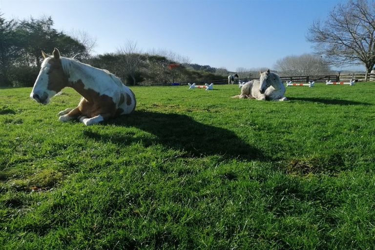 Photo of property in 346 Ireland Road, Waitoki, Kaukapakapa, 0871