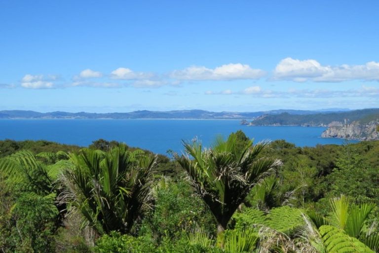 Photo of property in 536 Tuateawa Road, Tuateawa, Coromandel, 3583