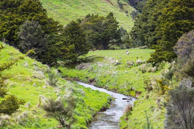 Photo of property in 113 Haruru Road, Tahekeroa, Kaukapakapa, 0873