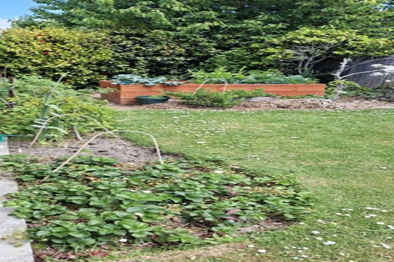 Photo of property in 66 Mountain View Road, Glenwood, Timaru, 7910