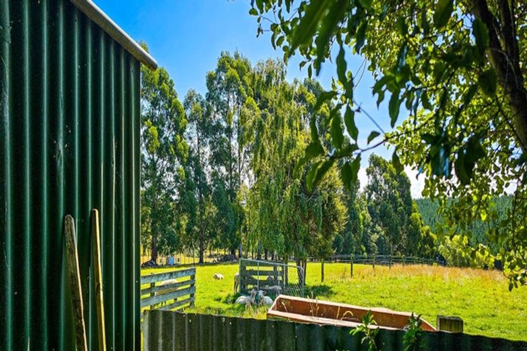 Photo of property in 79 District Road, Palmerston, 9430