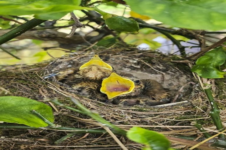 Photo of property in 46 The Drive, Paraparaumu Beach, Paraparaumu, 5032