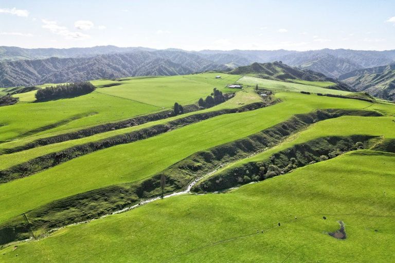 Photo of property in 918 Makakaho Road, Ngamatapouri, 4588