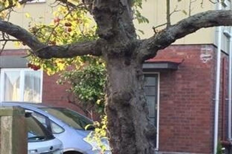 Photo of property in 99 Edgeware Road, St Albans, Christchurch, 8014