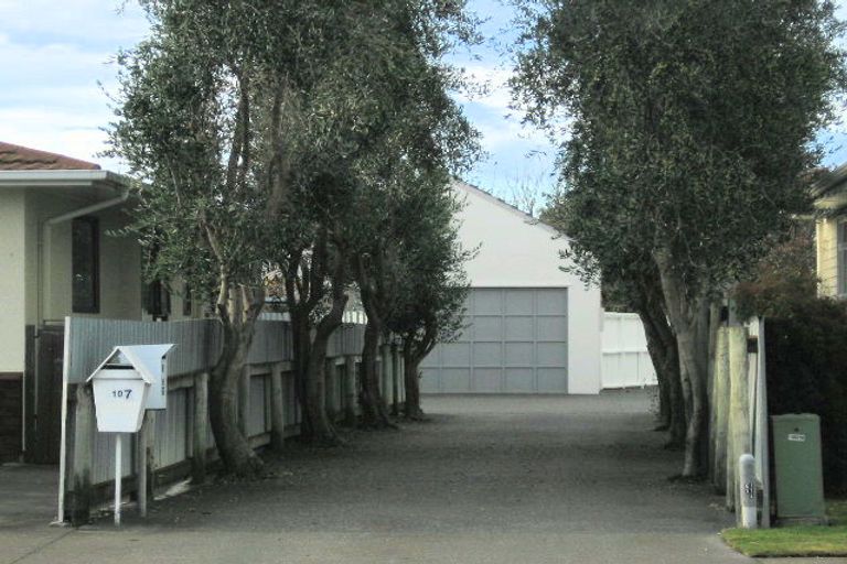 Photo of property in 107 Auckland Road, Greenmeadows, Napier, 4112