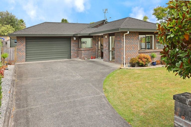Photo of property in 12 Harvest Drive, Henderson, Auckland, 0612