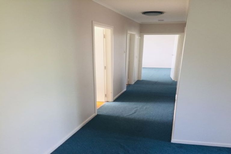 Photo of property in 1/14 Tiber Road, Forrest Hill, Auckland, 0620