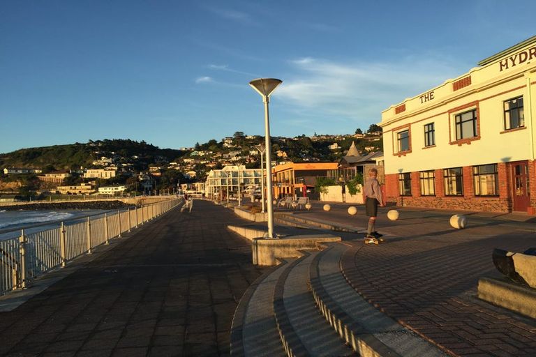 Photo of property in 29 Norfolk Street, Saint Clair, Dunedin, 9012