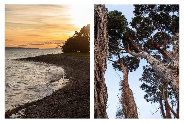 Photo of property in 2 Valder Place, Waiomu, Thames, 3575