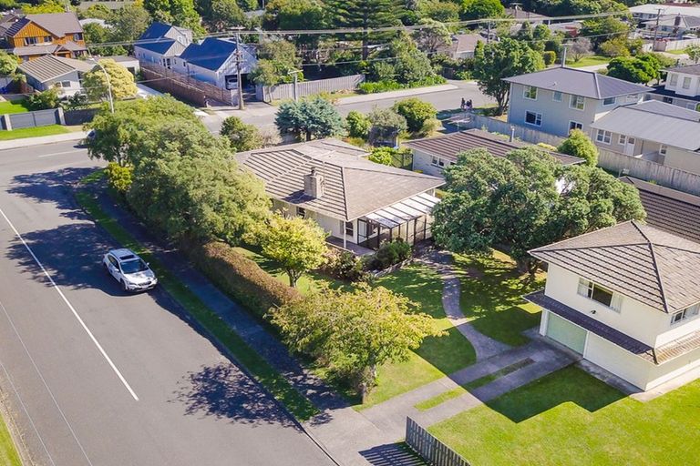 Photo of property in 55 Ngaio Road, Waikanae, 5036