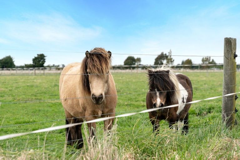 Photo of property in 664 Depot Road, Burnt Hill, Oxford, 7495