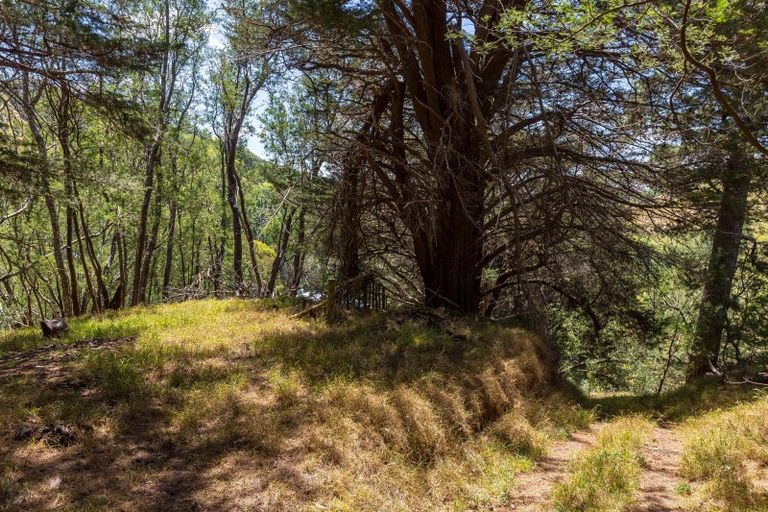Photo of property in Annedale Road, Tinui, 5894