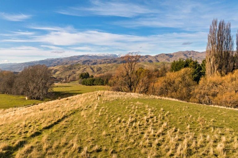 Photo of property in 236 Warburton Crescent, Te Awamutu, 3800