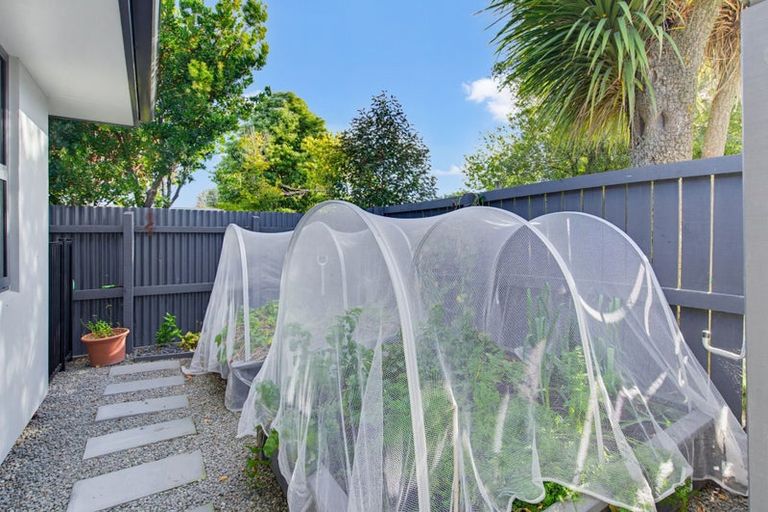 Photo of property in 23c Elizabeth Street, Ashburton, 7700