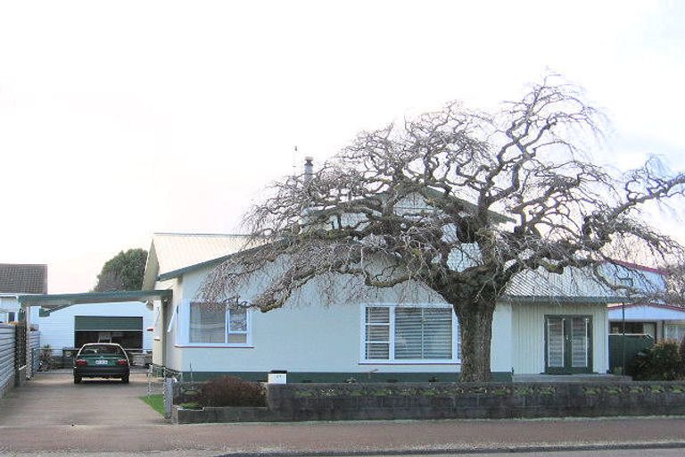 Photo of property in 29 Fitzroy Street, Terrace End, Palmerston North, 4410