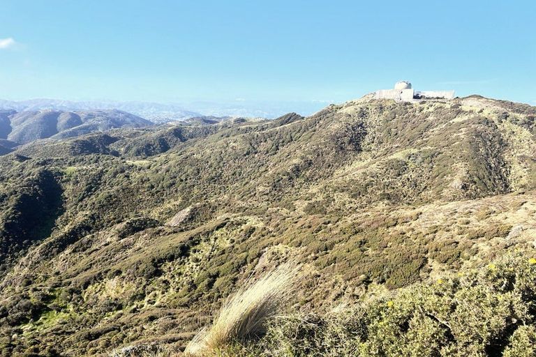 Photo of property in Long Gully Farm, 500 Hawkins Hill Road, Brooklyn, Wellington, 6021