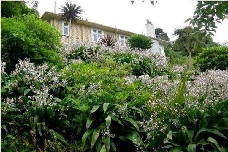 Photo of property in 53 Raroa Road, Kelburn, Wellington, 6012