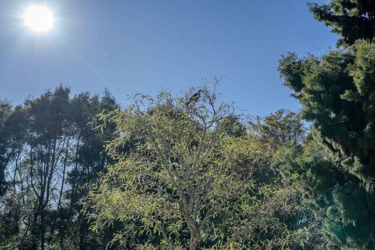 Photo of property in 121c Waimate North Road, Kerikeri, 0293