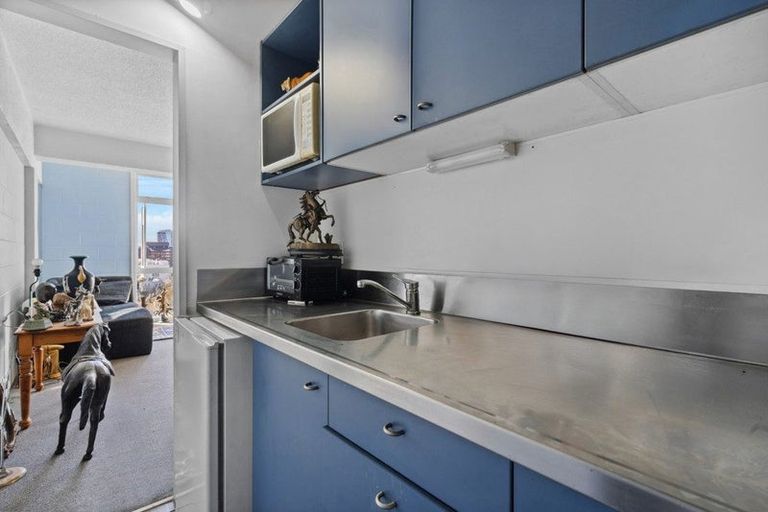 Photo of property in Fairmont Flats, 1c/20 Maarama Crescent, Aro Valley, Wellington, 6021