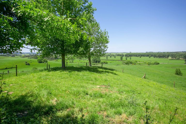 Photo of property in 32 Hetherington Road, Tirau, 3485