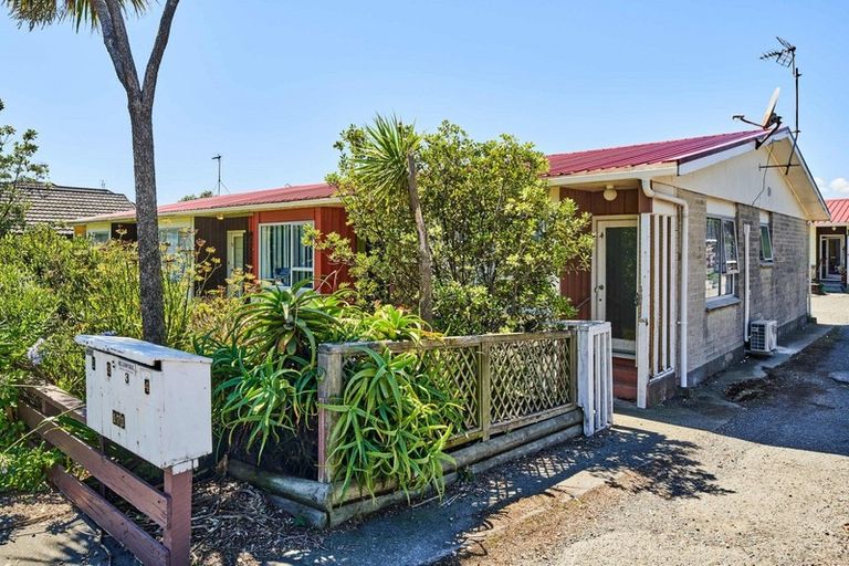 Photo of property in 171f4 Queens Drive, Lyall Bay, Wellington, 6022