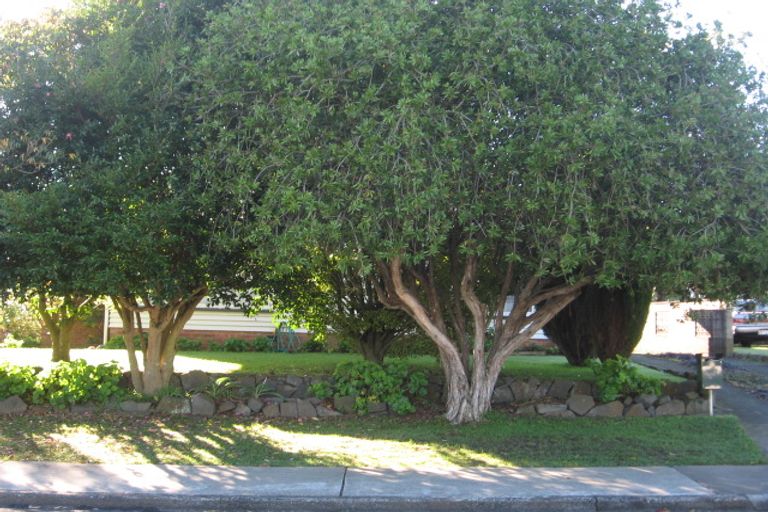Photo of property in 23 Mckean Avenue, Manurewa, Auckland, 2102