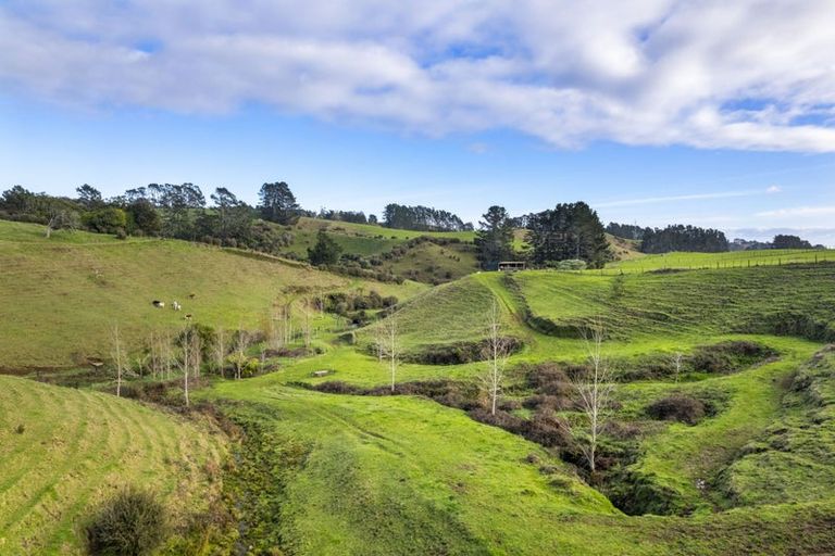 Photo of property in 378 Hursthouse Road, Tarurutangi, Inglewood, 4389