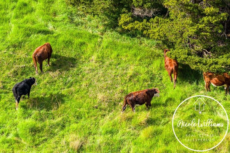 Photo of property in 297 Heatley Road, Whakapirau, Maungaturoto, 0583
