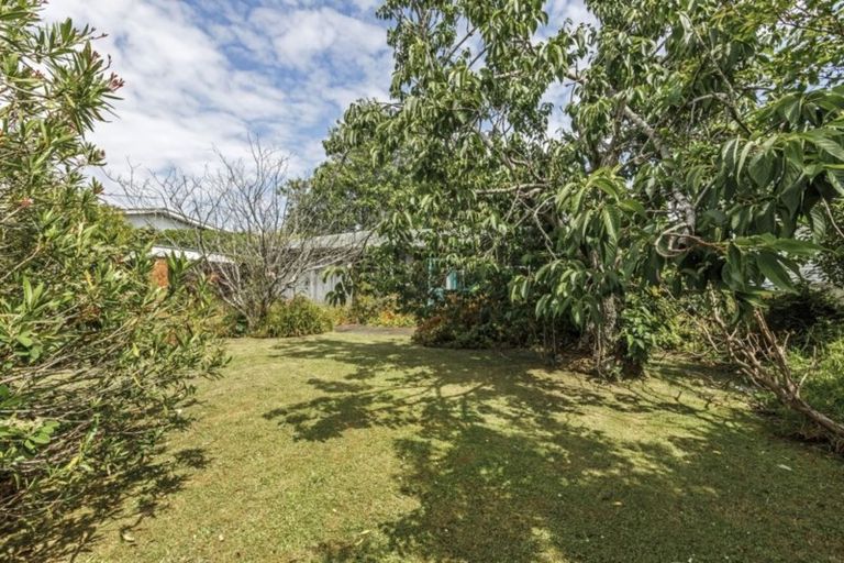Photo of property in 156 Sunset Road, Unsworth Heights, Auckland, 0632