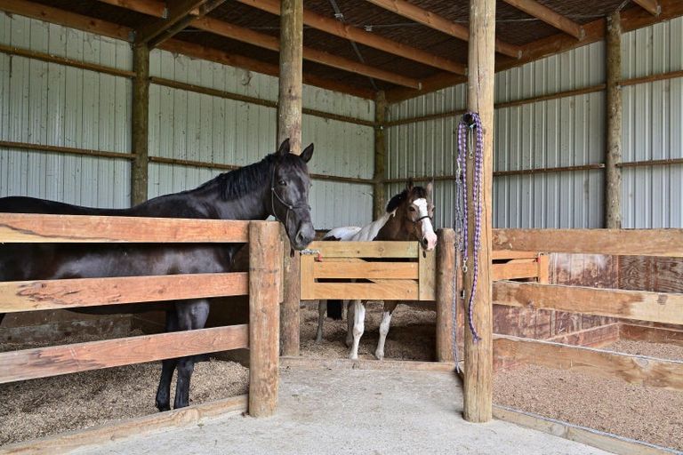 Photo of property in 65b Ngakoroa Road, Ormond, Gisborne, 4071