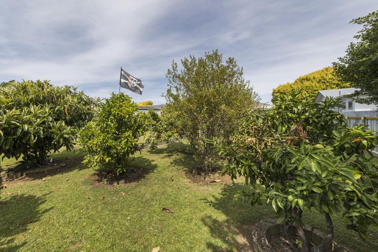 Photo of property in 171 Vogel Street, Roslyn, Palmerston North, 4414