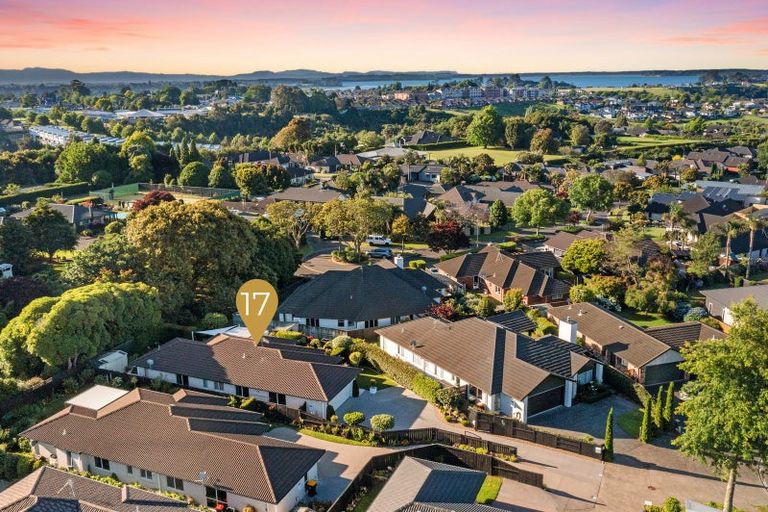 Photo of property in 17 Hansard Place, Bethlehem, Tauranga, 3110