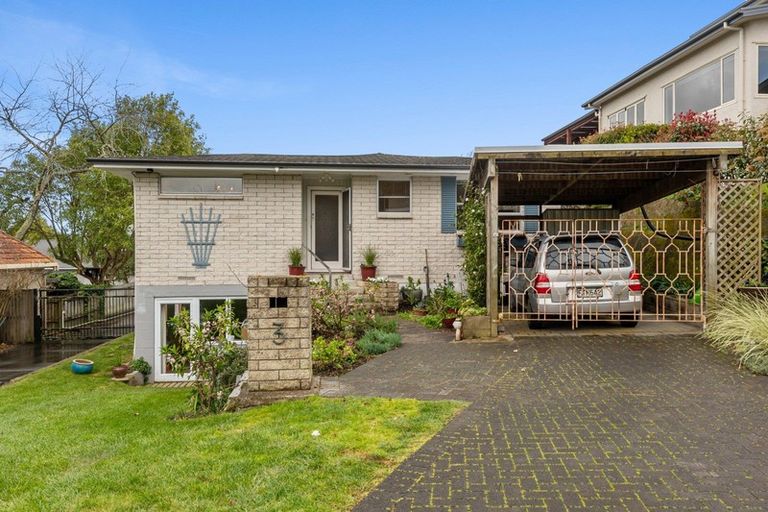 Photo of property in 3 Woodstock Road, Fairfield, Hamilton, 3214
