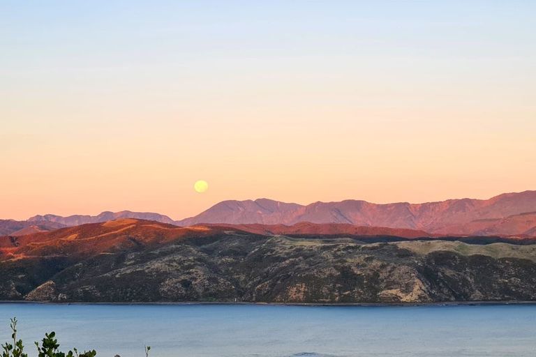 Photo of property in 75 Sidlaw Street, Strathmore Park, Wellington, 6022