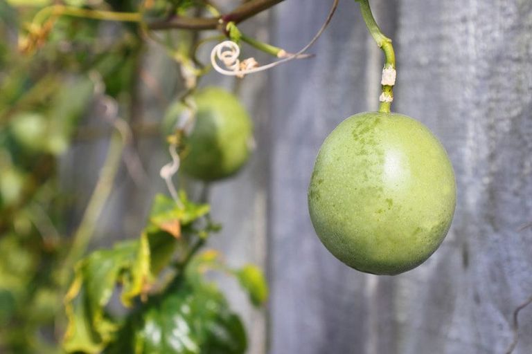 Photo of property in 9 Rata Street, Waiuku, 2123