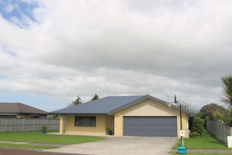 Photo of property in 14 Loveridge Place, Morrinsville, 3300